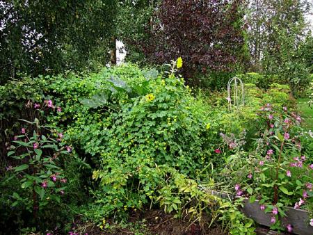 gallery_13447_1715_208004.jpg