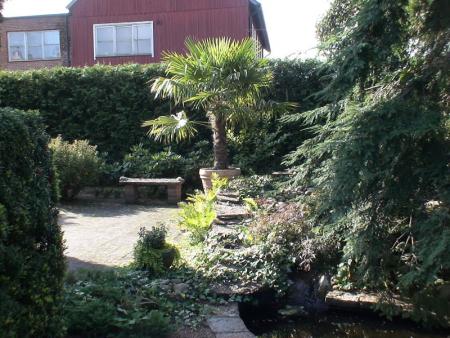 gallery_15902_2320_58040.jpg