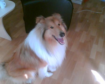 gallery_2682_2818_57941.jpg