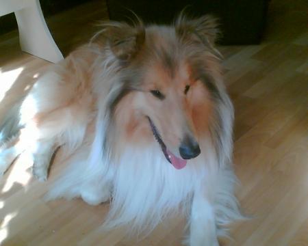 gallery_2682_2818_90306.jpg