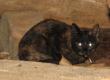tn_gallery_12674_2817_85599.jpg