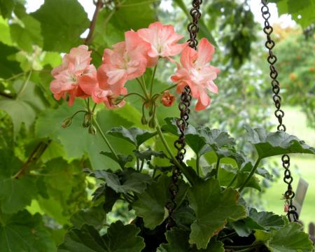 gallery_4247_2806_155449.jpg