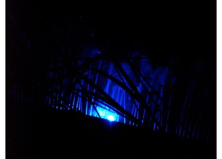gallery_14337_1961_49940.jpg
