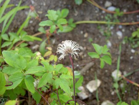 gallery_8514_2672_18292.jpg