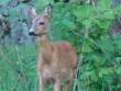 tn_gallery_18821_2831_62249.jpg