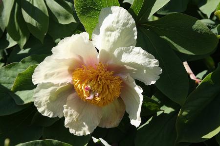 gallery_18859_2834_94313.jpg