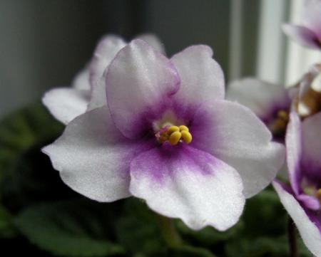 gallery_4247_1170_58930.jpg