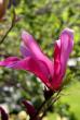 tn_gallery_18859_2834_42264.jpg