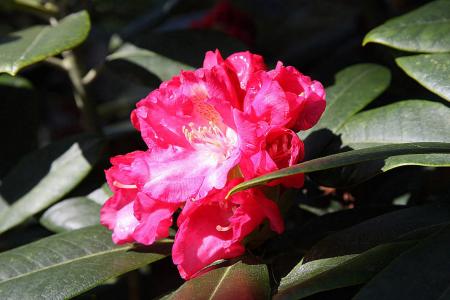gallery_18859_2834_208199.jpg
