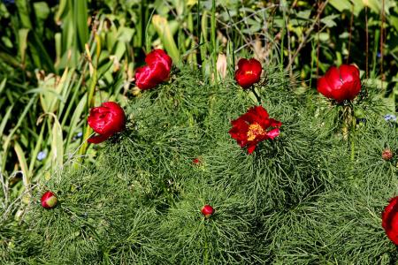 gallery_18859_2834_22746.jpg