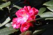 tn_gallery_18859_2834_208199.jpg