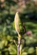 tn_gallery_18859_2834_27779.jpg