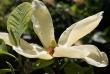 tn_gallery_18859_2834_43784.jpg