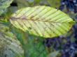 tn_gallery_18866_2835_18264.jpg