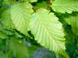 tn_gallery_18866_2835_37737.jpg