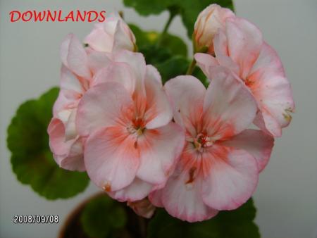 gallery_5074_2155_53833.jpg