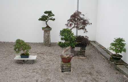 gallery_6602_2846_42284.jpg