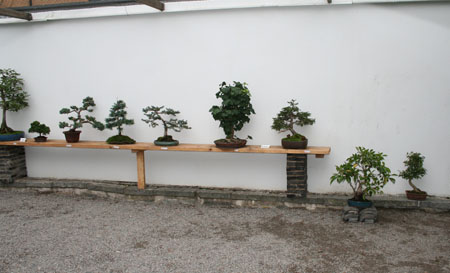 gallery_6602_2846_43862.jpg