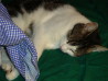 gallery_7844_1262_4504.jpg