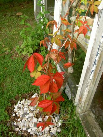 gallery_16929_2844_102837.jpg