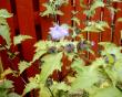 tn_gallery_12349_2843_128489.jpg