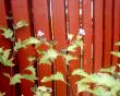 tn_gallery_12349_2843_58721.jpg
