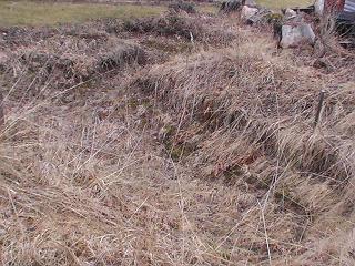 gallery_10191_2848_34394.jpg