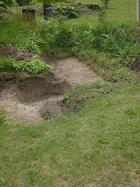 gallery_10191_2848_40533.jpg