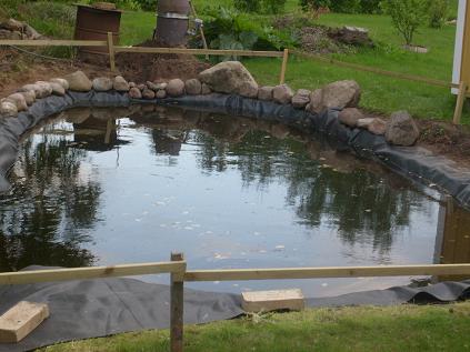 gallery_10191_2848_57882.jpg
