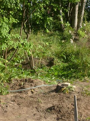 gallery_10191_2848_63779.jpg