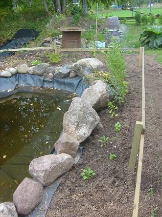 gallery_10191_2848_14970.jpg