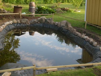 gallery_10191_2848_61667.jpg