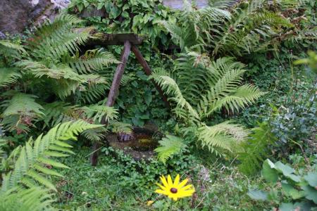 gallery_10851_2849_192226.jpg