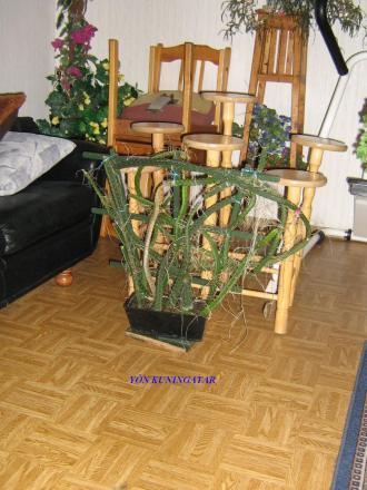 gallery_18979_2850_205779.jpg