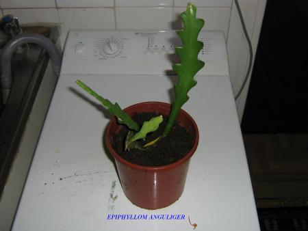 gallery_18979_2850_82816.jpg
