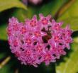 tn_gallery_18979_2851_514.jpg