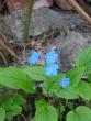 tn_gallery_5006_2852_43863.jpg