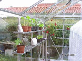 gallery_5587_1843_15636.jpg