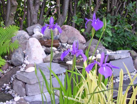 gallery_6663_2857_377494.jpg