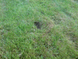tn_gallery_19012_2858_74018.gif