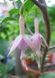tn_gallery_2529_1142_4248.jpg