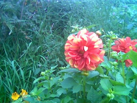 gallery_2460_1501_30046.jpg
