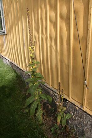gallery_19071_2869_28004.jpg