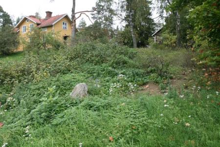 gallery_19071_2869_92615.jpg