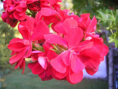 gallery_5783_2273_90796.jpg