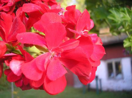 gallery_5783_2273_96661.jpg