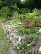 tn_gallery_4113_1870_124771.jpg