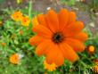 tn_gallery_4113_1870_52183.jpg