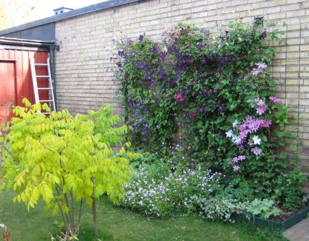 gallery_14_247_156126.jpg