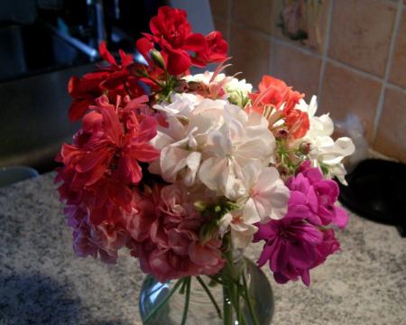 gallery_4247_2881_60629.jpg